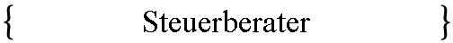  Steuerberater 